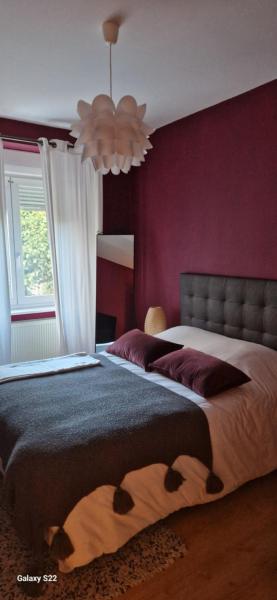 Cosy Appartement Complet centre-ville Montbéliard